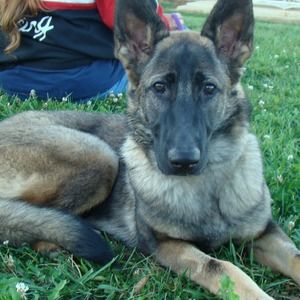 Meet your Posher, Bill